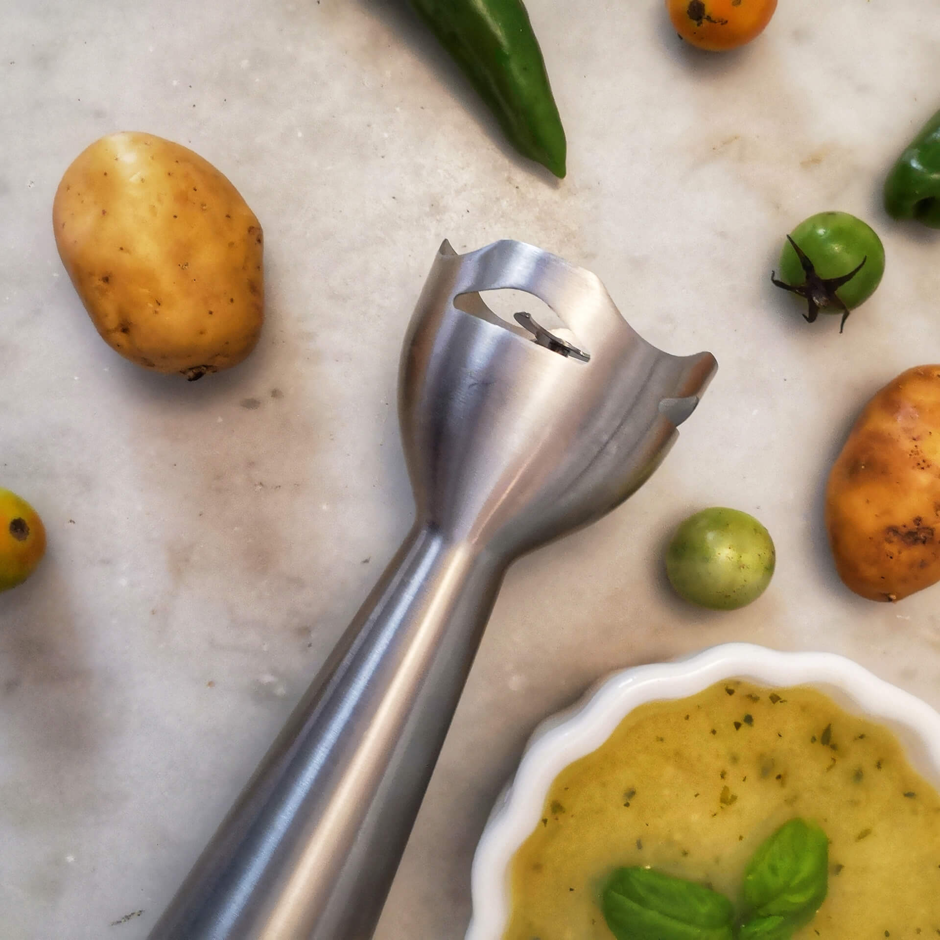 Frullatore ad immersione