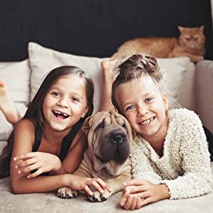 pulizia casa con animali ariete